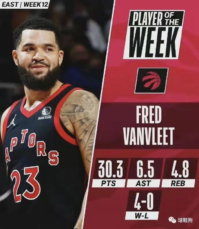 因为它决定 因为它决定